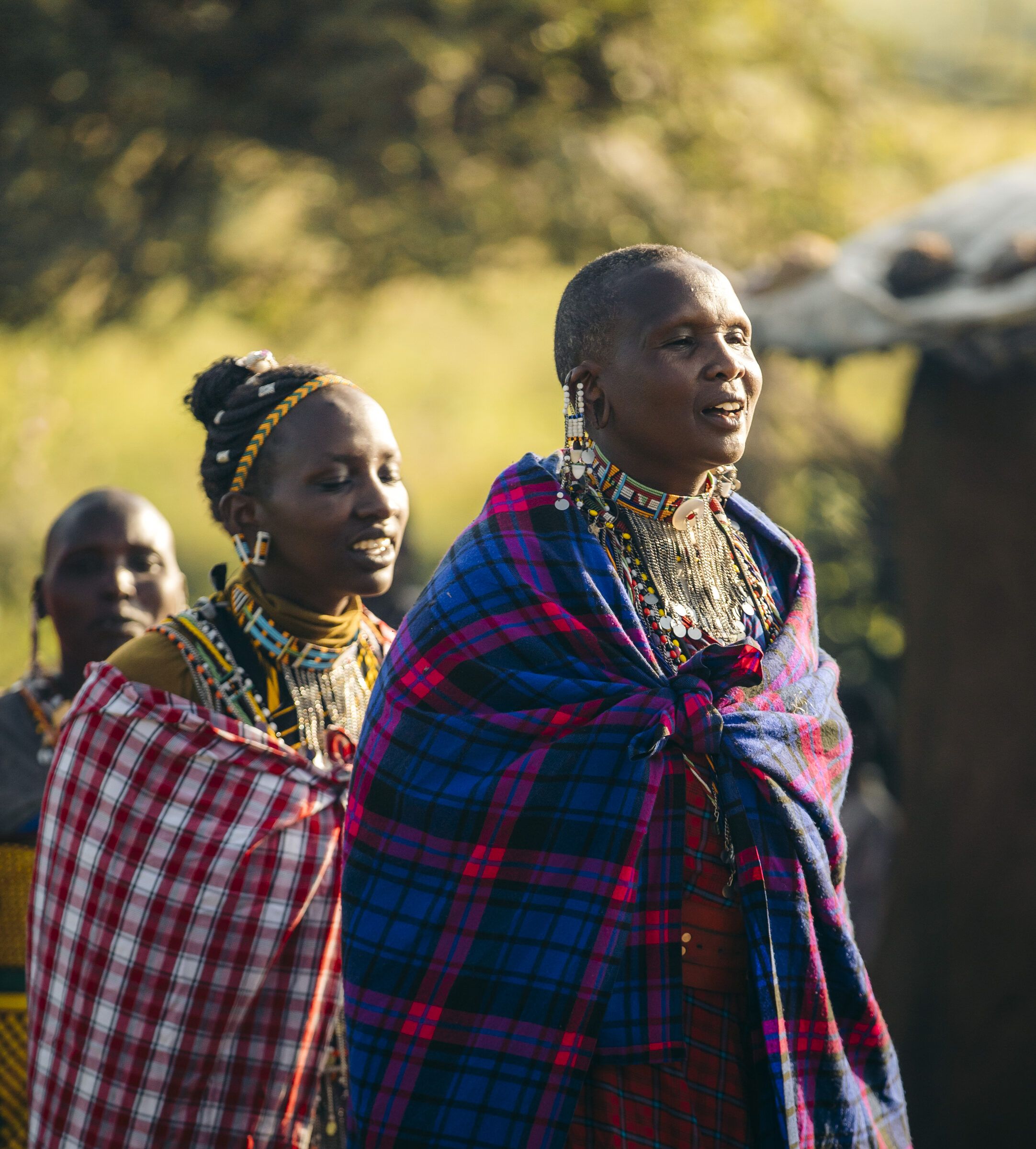 Maasai women in beaded collars and checked shukas